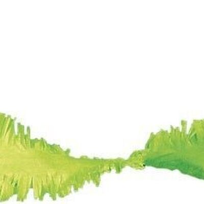 Hellgrüne Girlande aus Krepppapier 6 Meter