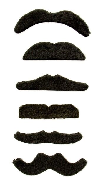 Set Moustache Noire - 6 Pièces 2