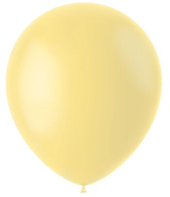 Ballons Poudre Jaune Mat 33cm - 100 pièces 1