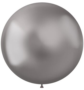 Ballons Argent Intense 48cm - 5 pièces 1