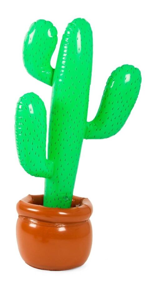 Opblaas Cactus - 85 cm