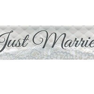 Banner Just Married 300x60cm