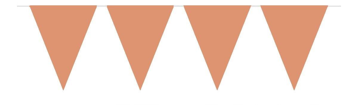 Bandierine Colorate Oro Rosa - 10 Metri