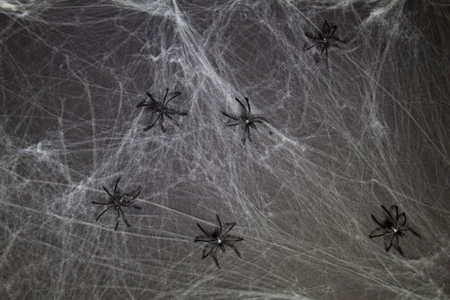 Spinnenweb met 6 Spinnen - 20 gram