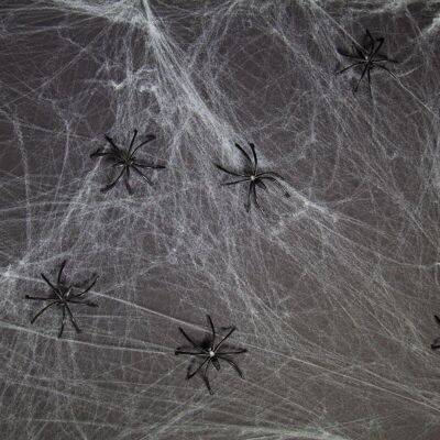 Spinnennetz mit 6 schwarzen Spinnen - 500 Gramm