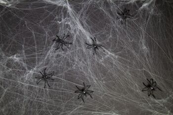 Toile d'araignée avec 6 araignées noires - 500 grammes 1