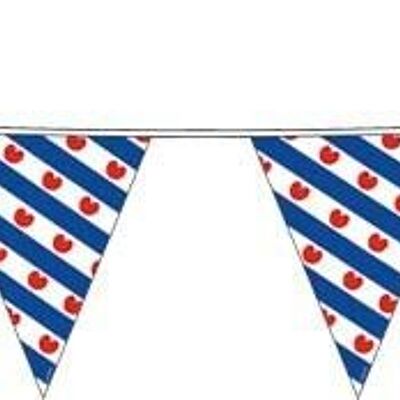 Frisian Flags Garland 10 meters