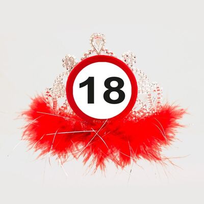 18 Years Road Sign Tiara