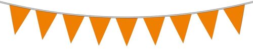 Oranje Vlaggenlijn - 10 meter