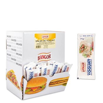 PACK SAUCE KEBAB AVEC 280 SACHETS DE 20 ML BANGOR 1