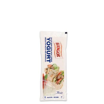 PACK SAUCE KEBAB AVEC 280 SACHETS DE 20 ML BANGOR 2