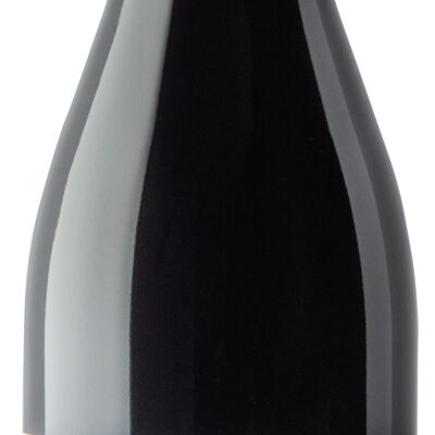 Vin Biodynamique Rouge - Margot 2021