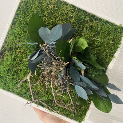 Plant frame 3535