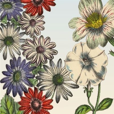 Greeting card ‘Gardenflowers’ with all kinds of retro flowers. Relive old times!
