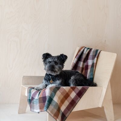 Recycled Wool Large Pet Blanket in Forest Herringbone Check