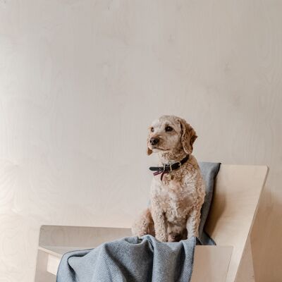 Recycled Wool Large Pet Blanket in Charcoal Herringbone