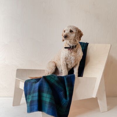 Recycled Wool Large Pet Blanket in Black Watch Tartan