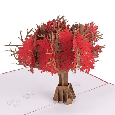 Biglietto pop-up con albero di acero rosso