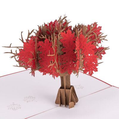 Red Maple Tree Pop Up Card