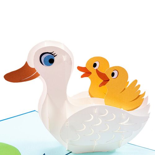 Duck Pop Up Card