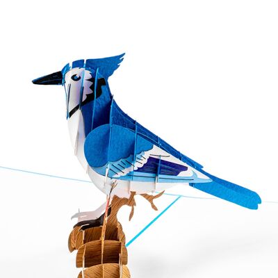 Carte pop-up oiseau geai bleu