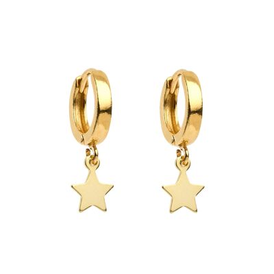 Alexander Earrings - 14 gold plated