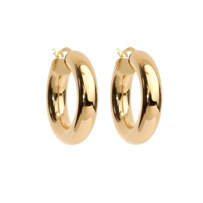 NOAH Earrings  - 14 gold plated