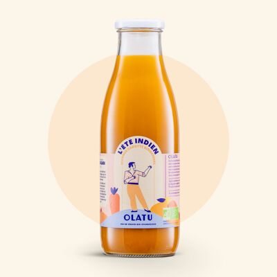 Organic Indian Summer 75cl - Mango Karotte Apfel Ingwer Kurkuma