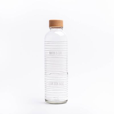 Glass drinking bottle - CARRY Bottle WATER IS LIFE 0.7l