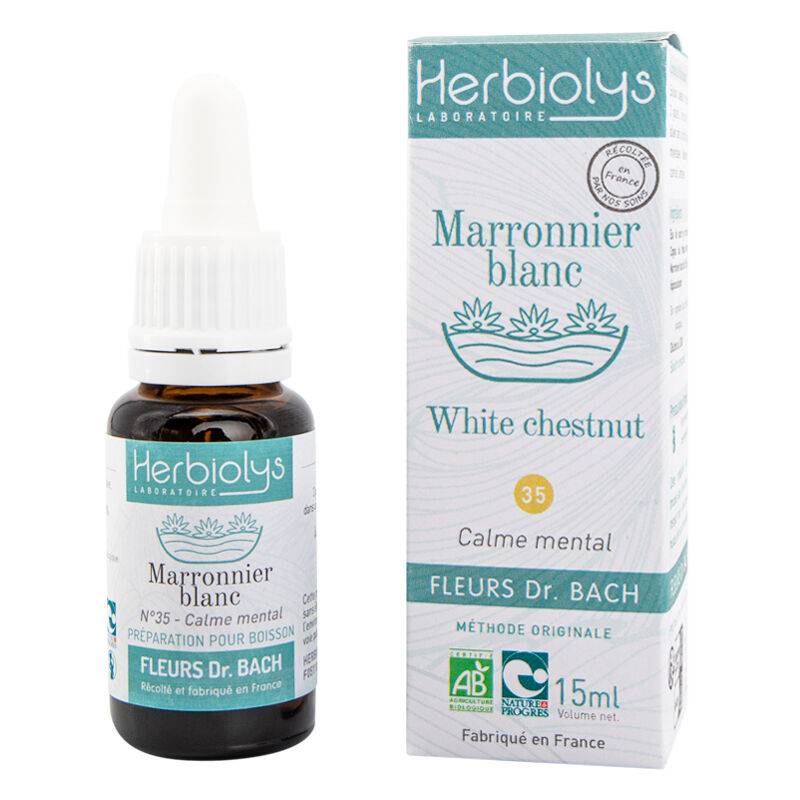 White chestnut Floral elixir (n ° 35)