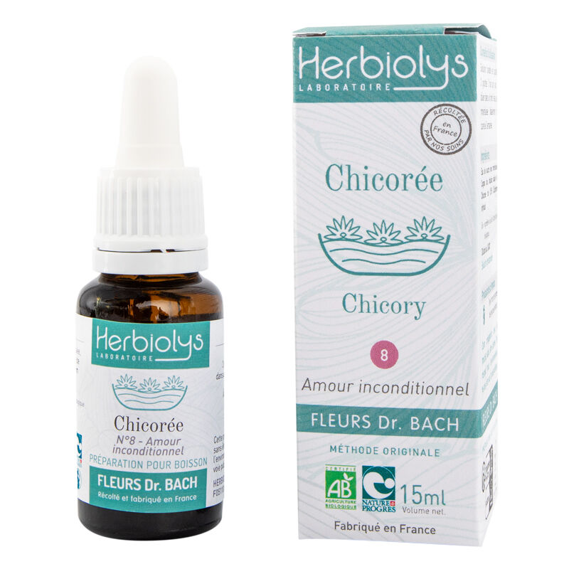 Chicory Floral Elixir (n ° 8)
