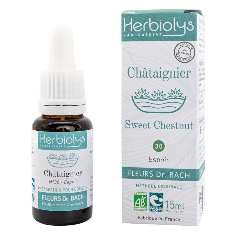 Sweet chestnut Floral elixir (n ° 30)