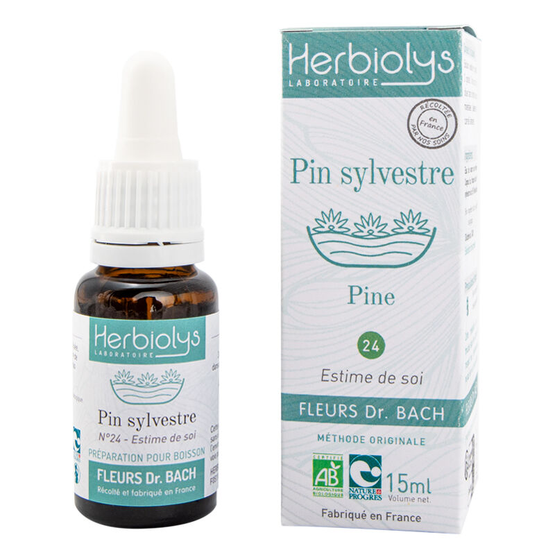 Pine Floral Elixir (n ° 24)