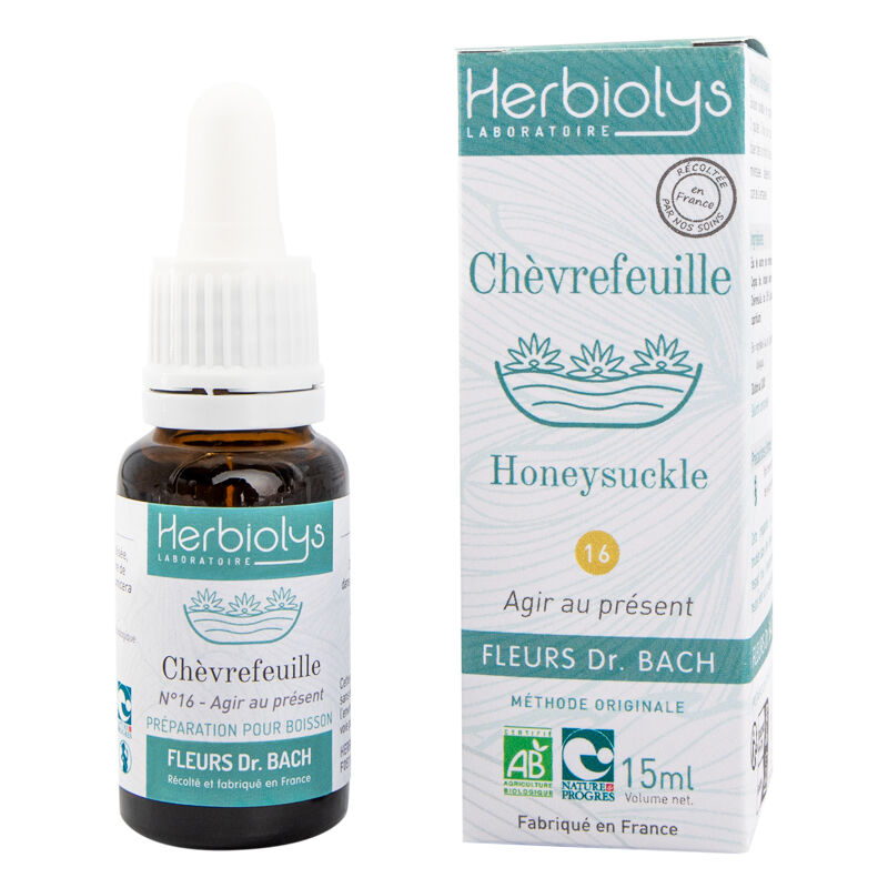 Honeysuckle Floral Elixir (n ° 16)