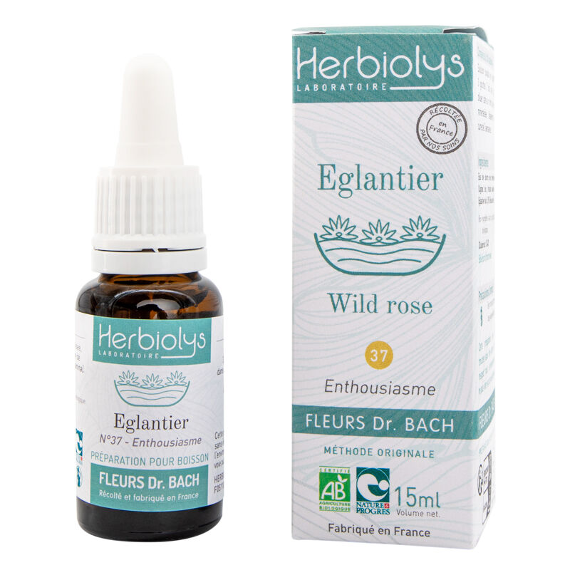Wild rose Floral elixir (n ° 37)
