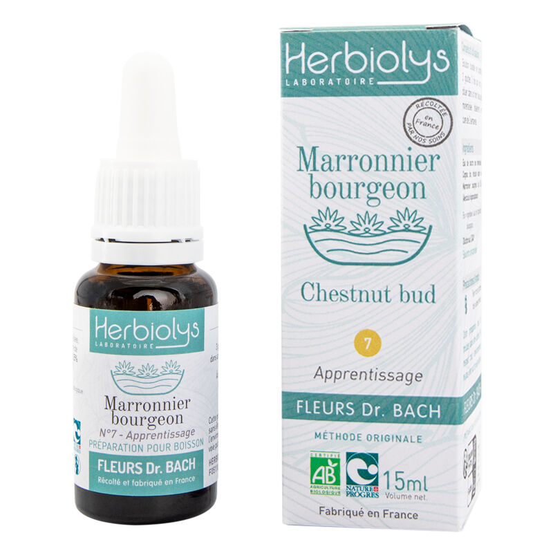 Chestnut bud Floral elixir (n ° 7)