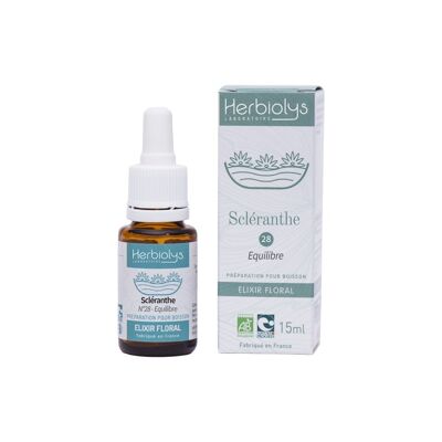 Scleranthus Elixir floreale (n° 28)