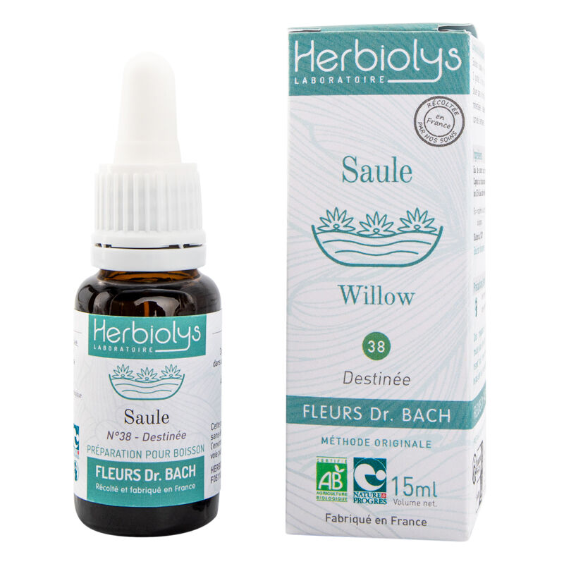 Willow Elixir floral (n ° 38)