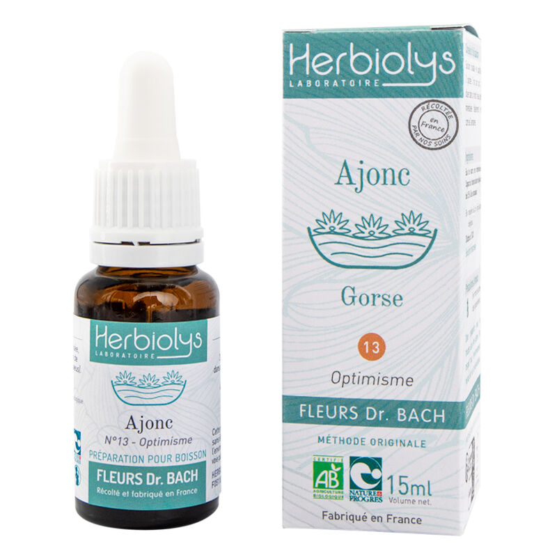 Gorse Floral Elixir (n ° 13)