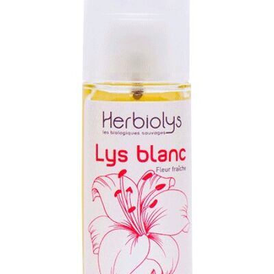 White Lily Wellness Oil