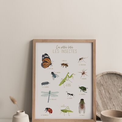 Estas Pequeñas Bestias Los Insectos, Póster A1