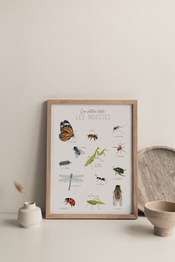 Ces Petites Bêtes Les Insectes, Affiche A1 1