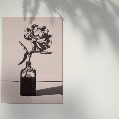Peonia, Poster A3