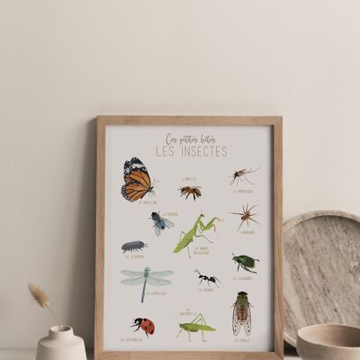 Estas pequeñas bestias los insectos, cartel A3