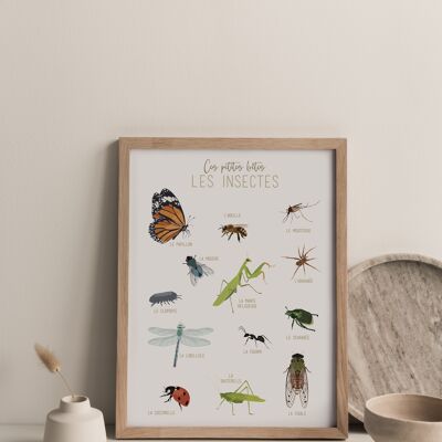 Estas pequeñas bestias los insectos, cartel A3