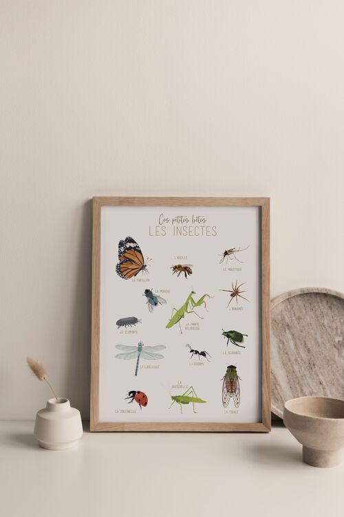 Ces Petites Bêtes Les Insectes, Affiche A4