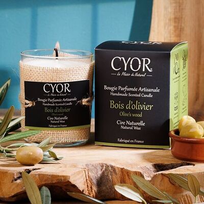Olive Wood Scented Candle
