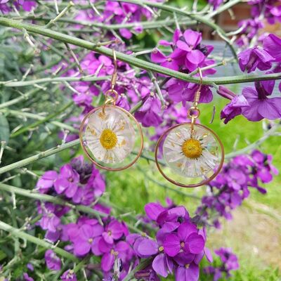 Real Flower Daisy Drop Dangle Resin Gold Earrings, Flower Birthday Gift For Mum, Flower Lover Gift