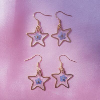 Forget Me Not Star Real Flower Earrings