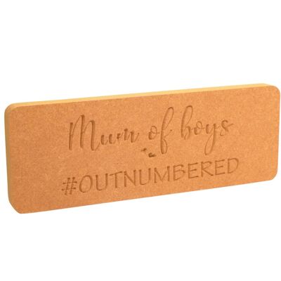 Mum of Boys #outnumbered